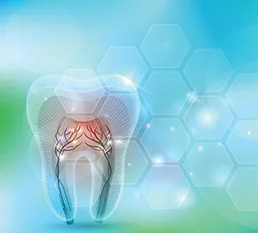 Stomatologia zęba